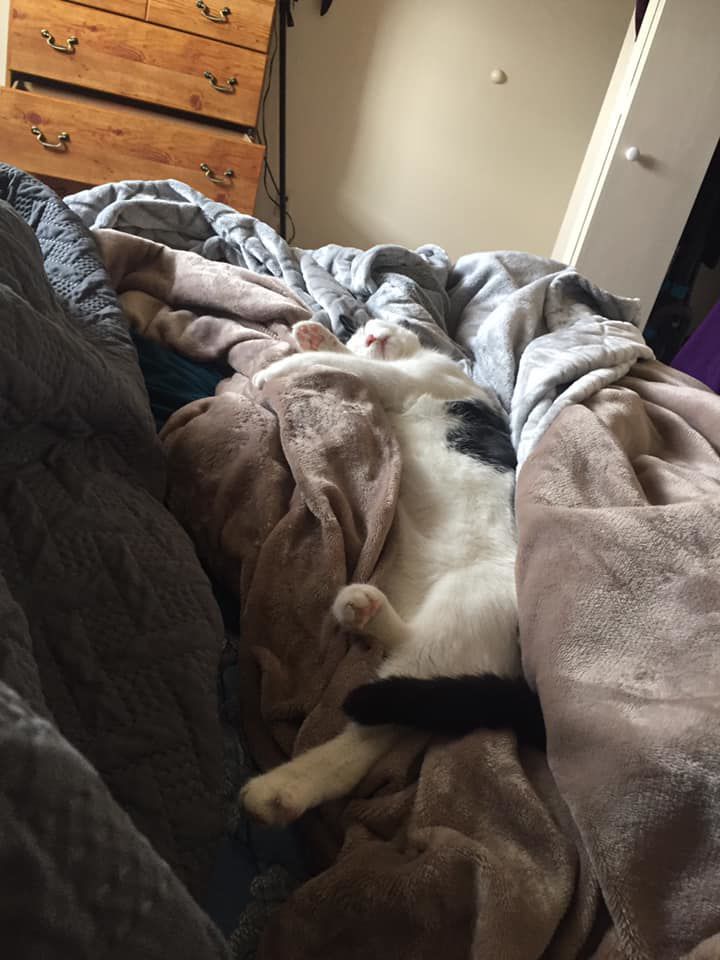 Take a nap !